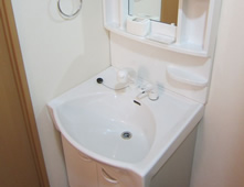 広々使用できるシャワー付の洗面台。